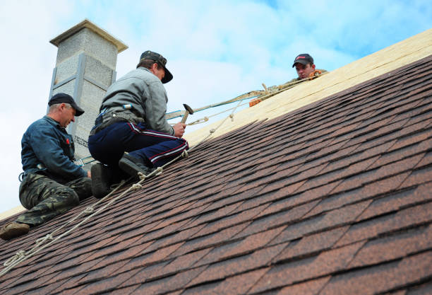Best Roof Maintenance Services  in Pink, OK